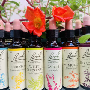 טיפול בהרטבת לילה אצל ילדים באמצעות פרחי באך